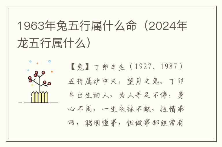 1963年兔五行属什么命(2024年龙五行属什么)